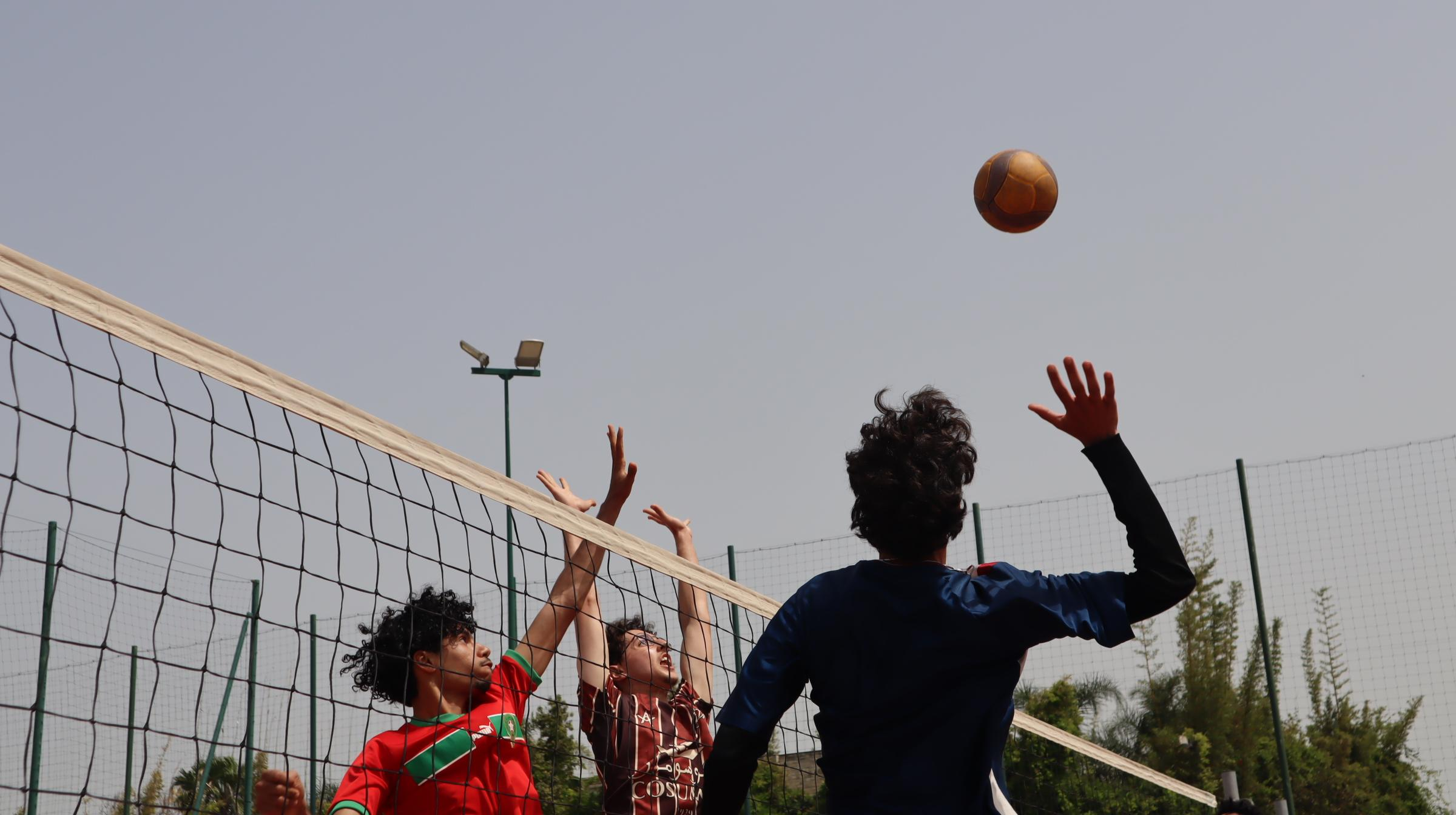 Handball